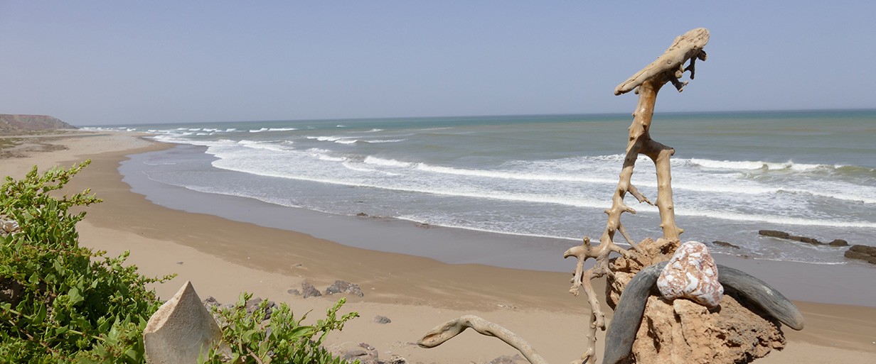 cotedesert-circuitmotomaroc-accueil10